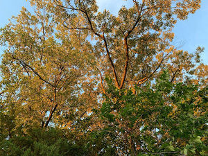 Meet your Posher, Nate